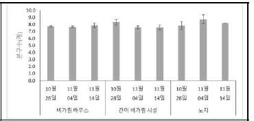 모구 정식시기 및 채종 방법에 따른 분구수(2020)