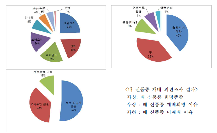 배 신품종 재배에 대한 설문조사 결과