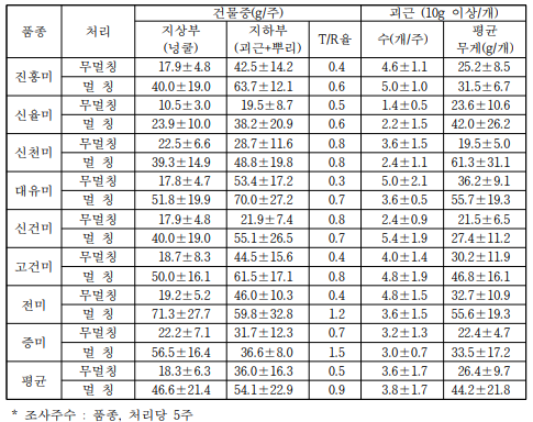 분질고구마의 논 재배시 괴근 비대초기(정식 후 60일) 생육 및 괴근 수