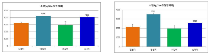 중간질 및 유색고구마 논재배 괴근 수량