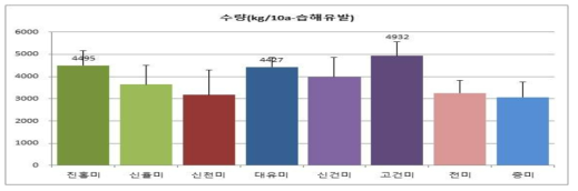 분질고구마 논재배 괴근 수량(습해처리)