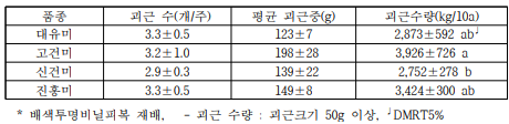 분질(전분용) 품종의 논 재배 괴근 수량