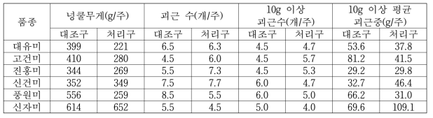 논 재배 고구마 괴근 형성기 담수처리 20일 후 괴근형성 및 비대 양상