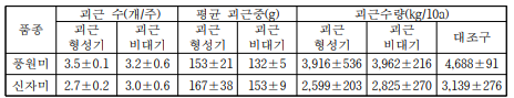 중간질 및 자색품종의 괴근 형성기) 및 비대기 습해 처리구의 괴근 수량