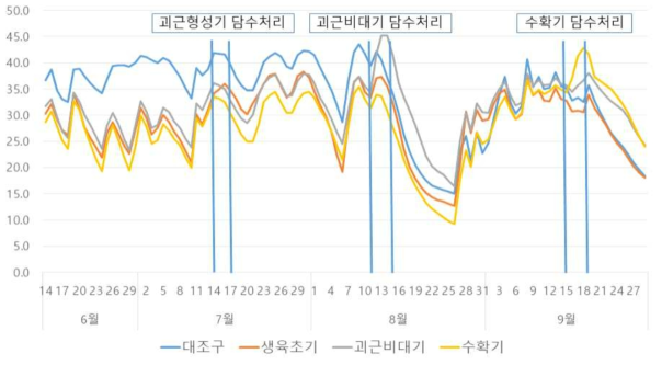 고구마 논 재배기간 중 토양수분 함량의 변화