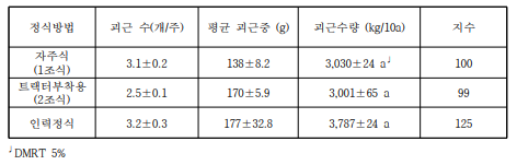 대유미 품종의 기계정식 방법에 따른 괴근 수량