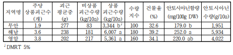 신자미 농가현장실증 시험 지역별 고구마 수량성 및 안토시아닌 함량(2021)