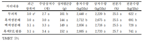 피복처리별 ‘대유미’품종의 수량요소 및 전분수량(재배기간 140일)