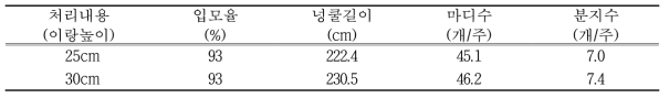 이랑높이에 따른 ‘대유미’품종 생육