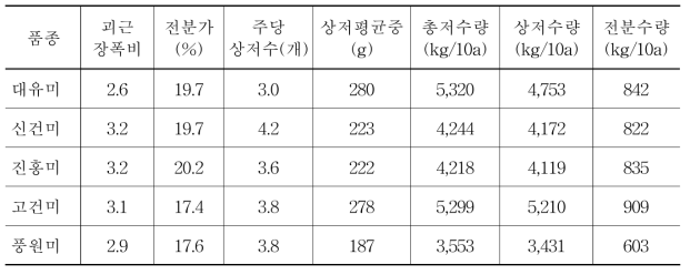 품종별 지하부 생육특성