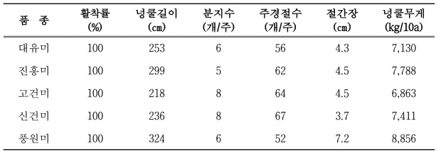 품종별 고구마 수확기 지상부 생육특성