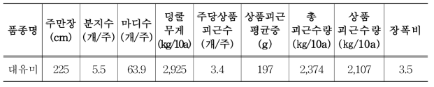 대유미 지상부생육 및 수량특성