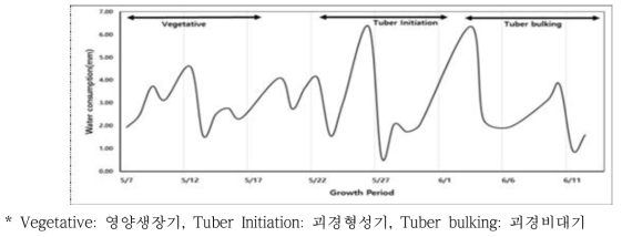 생육시기별 봄감자 물소모량