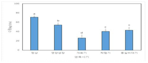 콩 생육시기별 한발 영향에 따른 콩 종실수량