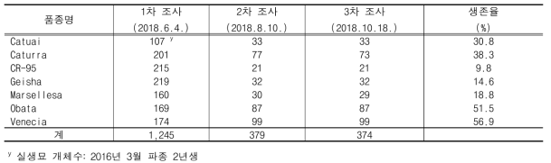 실생묘 정식 후 생존율