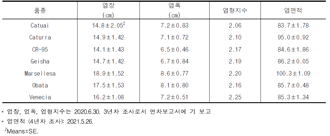 커피 품종별 엽 특성 조사