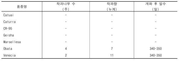 품종별 착과량 및 개화 후 일수 (조사: 2020.6.30.)