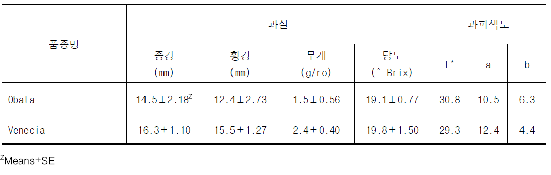 착과 과실 특성 (조사: 2020.6.30.)