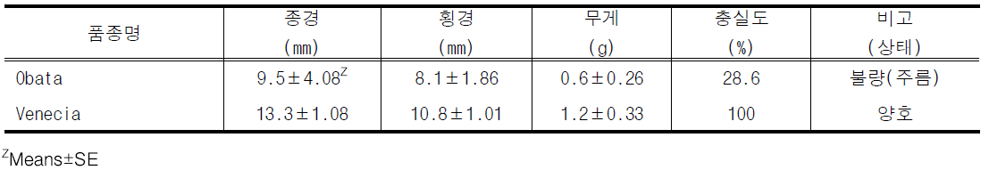 착과 과실의 종자(bean) 특성 (조사: 2020.6.30.)