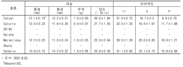 착과 과실 특성