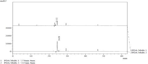 아라비카 커피 잎의 Caffeine과 Chlorogenic acid 크로마토그램