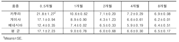 아라비카 커피 품종에 따른 잎의 엽령별 Caffeine 함량(mg/g)