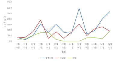 커피 수형에 따른 시기별 수확량 변화(2019)