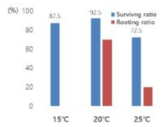 삽목상 온도별 생존율 및 발근율 비교