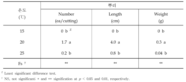 삽목상 온도별 뿌리 생육 비교