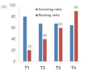 삽목상토별 생존율 및 발근율 비교
