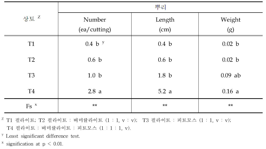 삽목상토별 뿌리 생육 비교