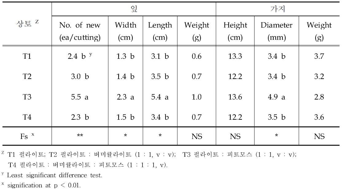 삽목상토별 가지와 잎 생육 비교