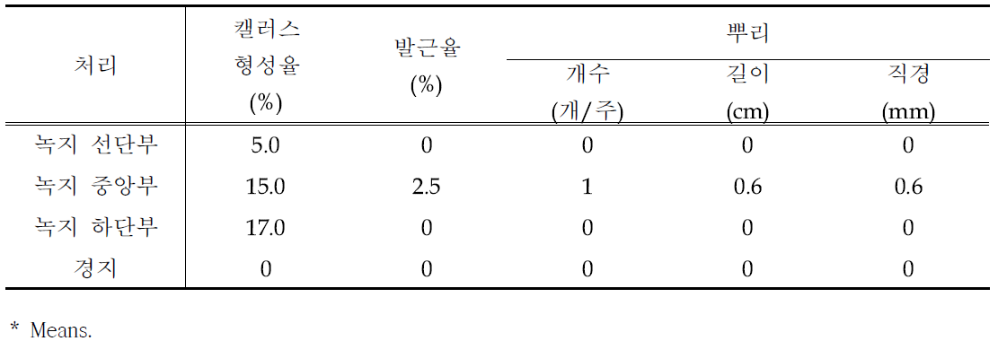 가지 생육단계별 삽목 90일 후 삽수 뿌리 특성 비교