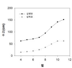 2년생 삽목묘와 실생묘 월별 수고 비교