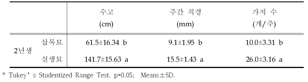 삽목묘와 실생묘 수령별 생육특성 비교 (2020.10.)