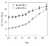 삽목묘와 실생묘 1차 가지수 변화