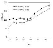 삽목묘와 실생묘 수폭변화