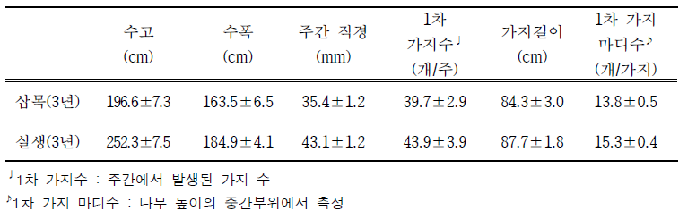 3년생 삽목묘와 실생묘 생육특성 (2021.11.)