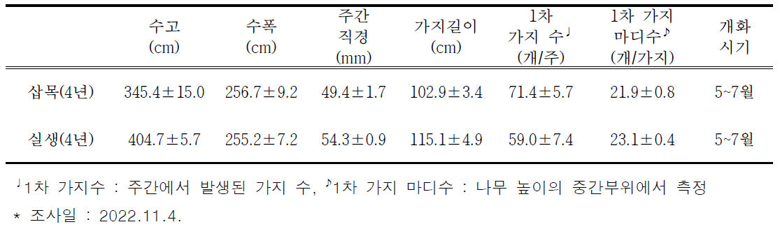 4년생 아라비카 커피 삽목묘와 실생묘의 생육특성 비교