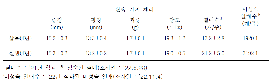 4년생 아라비카 커피 삽목묘와 실생묘의 과실특성 비교