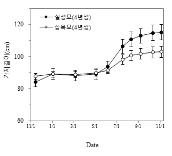 삽목묘와 실생묘 가지길이 변화(’21. 11 ~ ’22. 11)