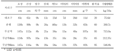 옥수수 생육특성 및 수량