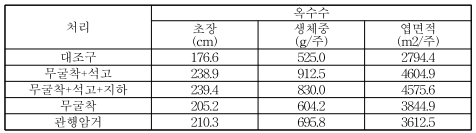 옥수수 엽면적 (7/30)