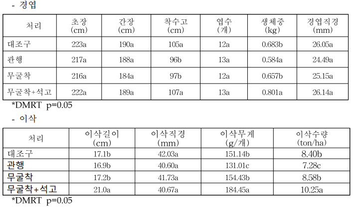 옥수수 생육특성 및 수량