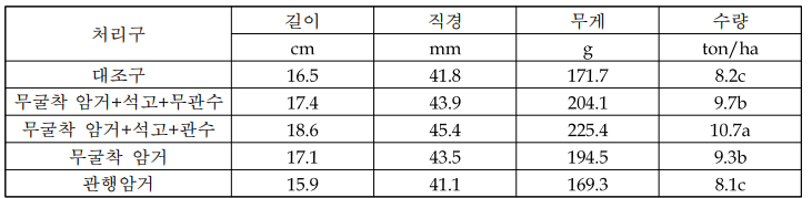 옥수수 이삭의 생육특성 및 수량