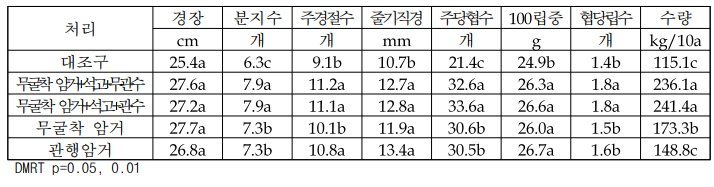 콩 생육특성 및 수량