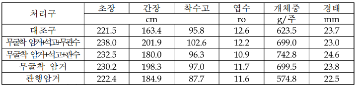 옥수수 경엽의 생육특성