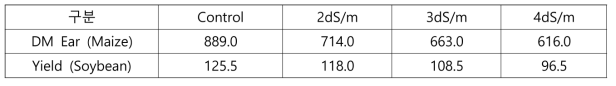 간척지 토양에서 지중관개(개수로식)시 옥수수와 콩의 수확량 비교