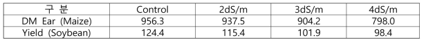 간척지 토양에서 지표관개(고랑)시 옥수수와 콩의 수확량 비교