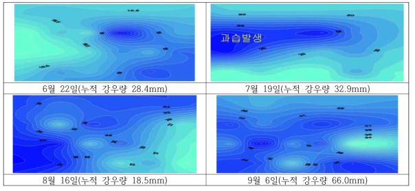 지중관개 처리구 토양수분함량 분포